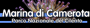 Marina di Camerota, Camerota, Cilento, Salerno